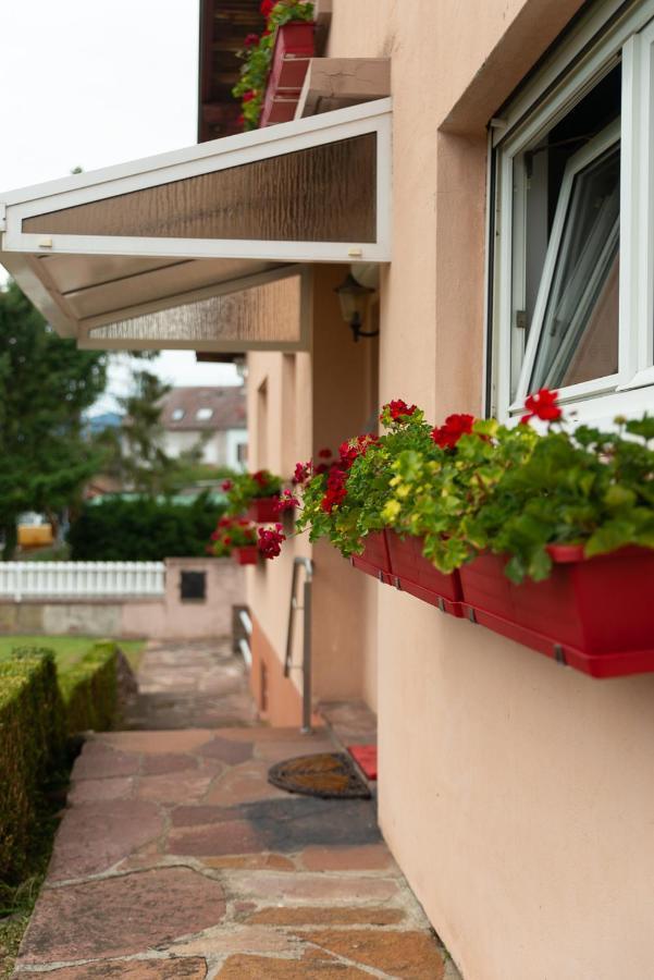 Gite Au Coeur De L'Alsace Maison Gatsby Staffelfelden ภายนอก รูปภาพ